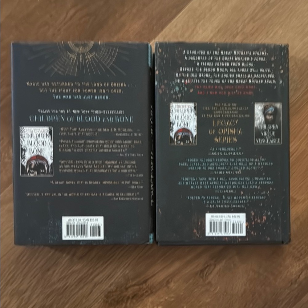Children of Virtue and Vengeance & Children of Anguish and Anarchy Books - Picture 3 of 5